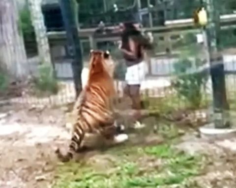 A woman's video from New Jersey evading death at a zoo has gone viral. A terrible thing occurred at a New Jersey zoo.