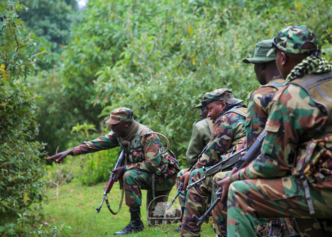 Congo and M23 Rebels Fail to Meet Deadline for Doha Peace Agreement